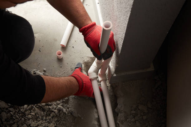 Best Clogged Drain Plumber  in New Paris, IN